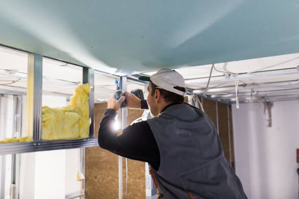 Best Geographic-Specific Insulation Services in Martins Additions, MD