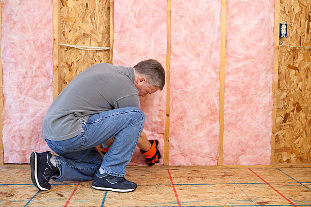 Best Eco-Friendly Insulation in Martins Additions, MD