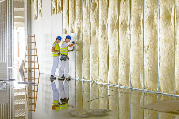 Best Insulation for Specific Applications in Martins Additions, MD